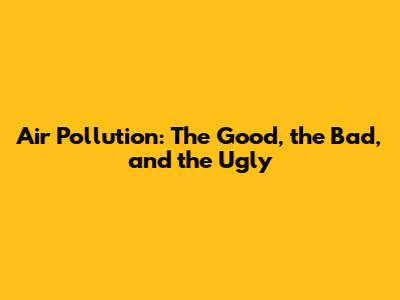 Air Pollution: The Good, the Bad, and the Ugly