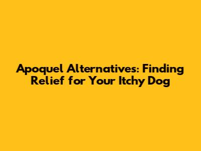 Apoquel Alternatives: Finding Relief for Your Itchy Dog
