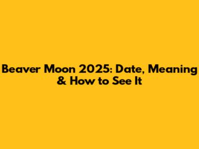 Beaver Moon 2025: Date, Meaning & How to See It