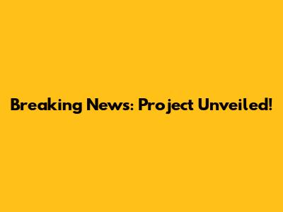 Breaking News: Project Unveiled!