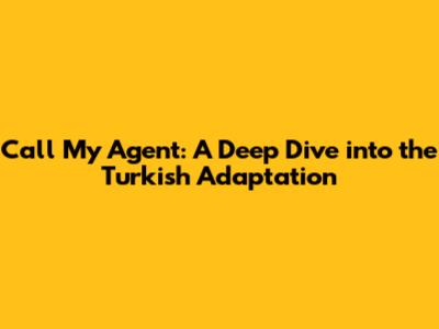 Call My Agent: A Deep Dive into the Turkish Adaptation