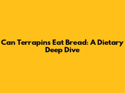 Can Terrapins Eat Bread: A Dietary Deep Dive