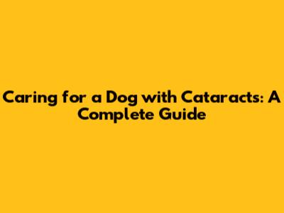 Caring for a Dog with Cataracts: A Complete Guide