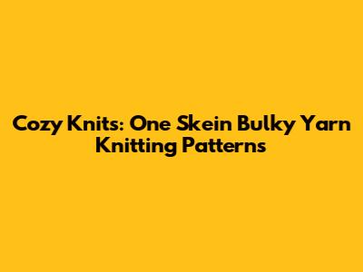 Cozy Knits: One Skein Bulky Yarn Knitting Patterns