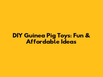 DIY Guinea Pig Toys: Fun & Affordable Ideas
