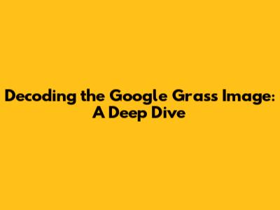 Decoding the Google Grass Image: A Deep Dive