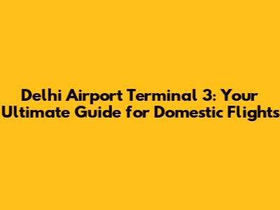 Delhi Airport Terminal 3: Your Ultimate Guide for Domestic Flights