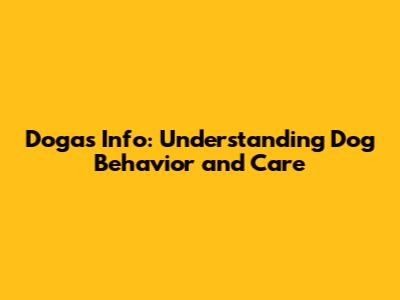 Dogas Info: Understanding Dog Behavior and Care