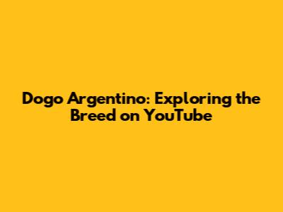 Dogo Argentino: Exploring the Breed on YouTube