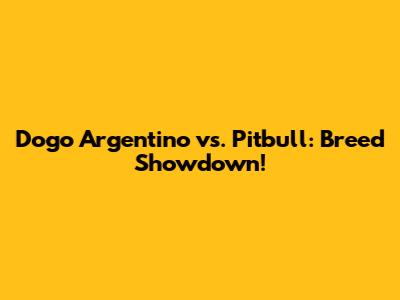 Dogo Argentino vs. Pitbull: Breed Showdown!