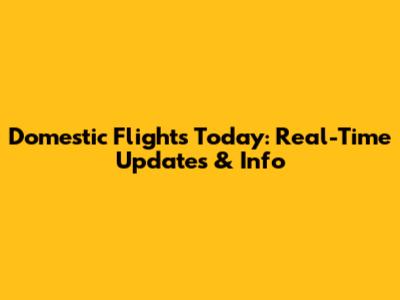 Domestic Flights Today: Real-Time Updates & Info