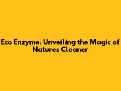 Eco Enzyme: Unveiling the Magic of Nature's Cleaner
