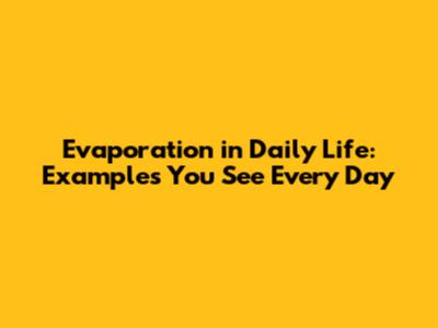 Evaporation in Daily Life: Examples You See Every Day