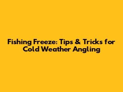 Fishing Freeze: Tips & Tricks for Cold Weather Angling