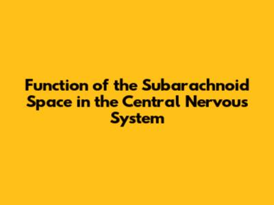Function of the Subarachnoid Space in the Central Nervous System