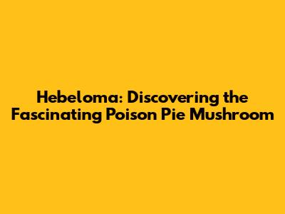 Hebeloma: Discovering the Fascinating Poison Pie Mushroom