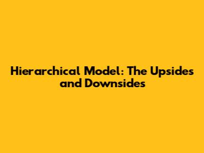 Hierarchical Model: The Upsides and Downsides