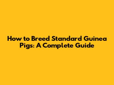 How to Breed Standard Guinea Pigs: A Complete Guide