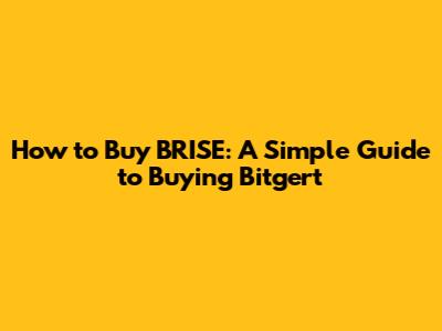 How to Buy BRISE: A Simple Guide to Buying Bitgert