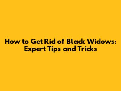 How to Get Rid of Black Widows: Expert Tips and Tricks