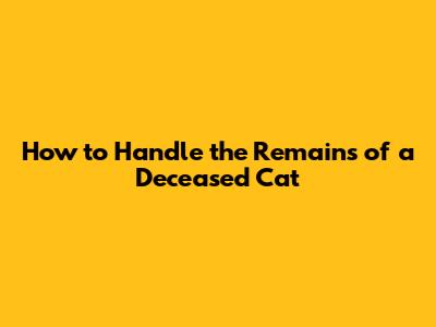 How to Handle the Remains of a Deceased Cat