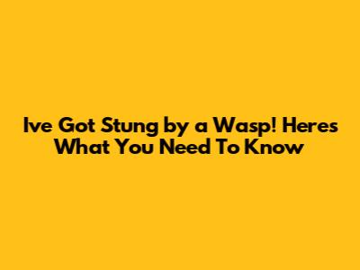 I've Got Stung by a Wasp! Here's What You Need To Know