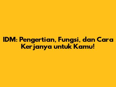 IDM: Pengertian, Fungsi, dan Cara Kerjanya untuk Kamu!