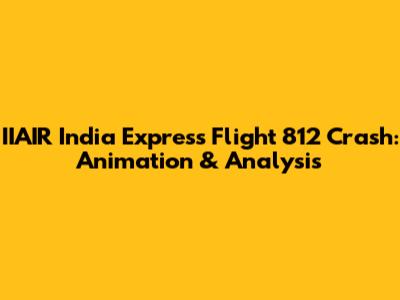 IIAIR India Express Flight 812 Crash: Animation & Analysis