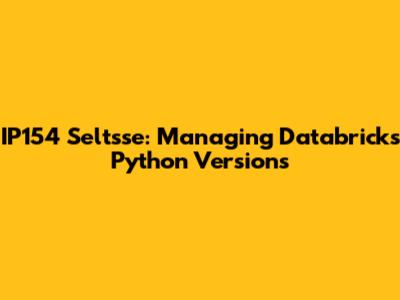 IP154 Seltsse: Managing Databricks Python Versions