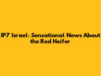 IP7 Israel: Sensational News About the Red Heifer