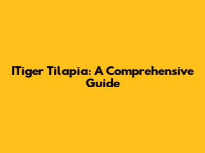 ITiger Tilapia: A Comprehensive Guide