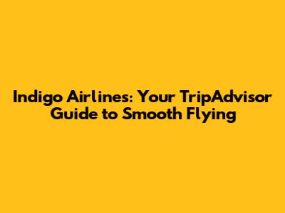 Indigo Airlines: Your TripAdvisor Guide to Smooth Flying