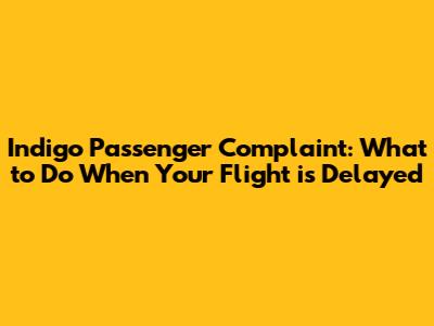 Indigo Passenger Complaint: What to Do When Your Flight is Delayed