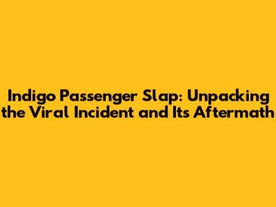 Indigo Passenger Slap: Unpacking the Viral Incident and Its Aftermath