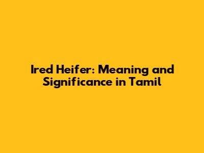 Ired Heifer: Meaning and Significance in Tamil