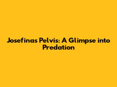 Josefina's Pelvis: A Glimpse into Predation