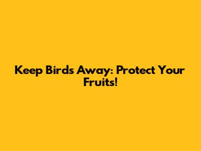 Keep Birds Away: Protect Your Fruits!