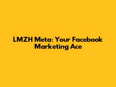 LMZH Meta: Your Facebook Marketing Ace