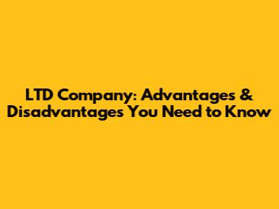 LTD Company: Advantages & Disadvantages You Need to Know