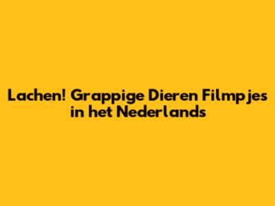 Lachen! Grappige Dieren Filmpjes in het Nederlands