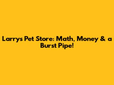 Larry's Pet Store: Math, Money & a Burst Pipe!