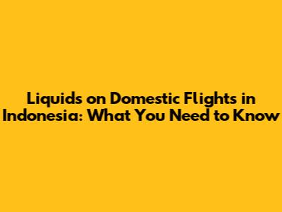 Liquids on Domestic Flights in Indonesia: What You Need to Know