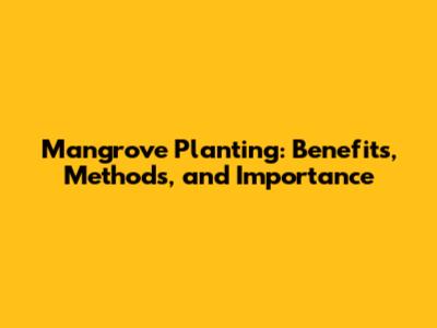 Mangrove Planting: Benefits, Methods, and Importance