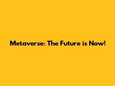 Metaverse: The Future is Now!