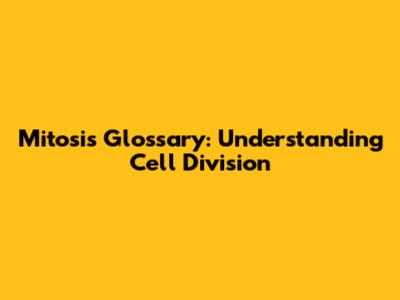 Mitosis Glossary: Understanding Cell Division