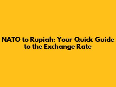 NATO to Rupiah: Your Quick Guide to the Exchange Rate