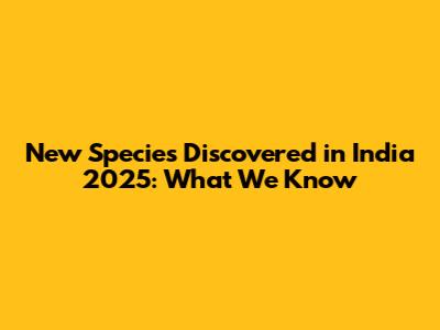 New Species Discovered in India 2025: What We Know