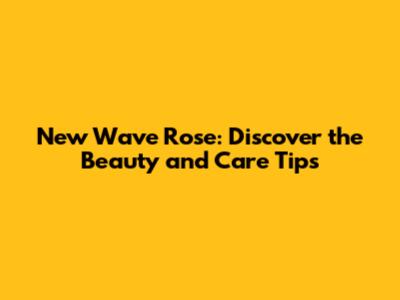 New Wave Rose: Discover the Beauty and Care Tips