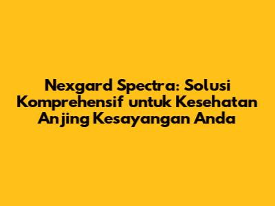 Nexgard Spectra: Solusi Komprehensif untuk Kesehatan Anjing Kesayangan Anda