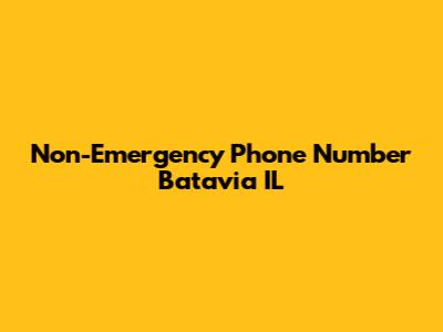 Non-Emergency Phone Number Batavia IL